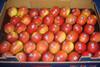 Jazz apples
