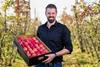 AU Red Rich Fruits Matthew Palise apples