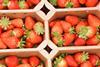 British strawberries are in peak supply