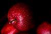 Red apple closeup dark background Adobe