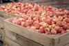 Polish apples in crates Adobe Stock