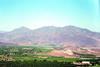 The financial landscape for Chilean growers was looking bleak