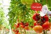 Hoogendoorn Plant Voice