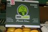 Don Limón grapefruit