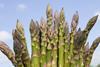 asparagus