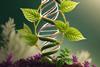 Pflanze mit DNA-Strang - Firefly