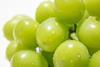 Shine Muscat grapes AdobeStock_2005010990