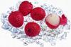 Israeli lychee season kicks off