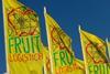 Fruit Logistica flags square