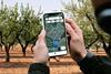 Onside app - map