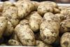Frühkartoffeln: Bio und Regionalität als Umsatzbringer