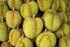 Durian