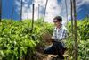 Bayer online GAP training