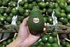 Hand holding Dole-branded avocado MUST CREDIT JCM - Adobe Stock