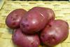 rudolph potatoes Asda Fenmarc