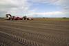 Vitacress meets off-season demand from Iberian peninsula