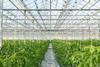 The construction of horticultural buildings could become easier