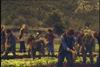 Florette unveils new campaign
