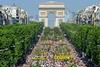 Champs Elysees
