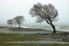 Foto: Dmitri Brodski/Fotolia