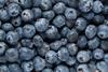 Blueberries