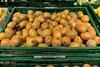 HR Italian kiwifruit on sale in Croatia