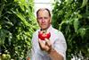 Asda Goutini tomato