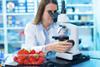 Fruit inspection testing strawberries Adobe Stock