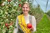 Bodensee-Apfelkönigin erntet ersten Apfel der Saison_2274