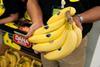 NEH Fair Trade bananas Dana