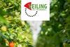 Veiling Zaltbommel