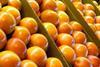 South Africa builds new citrus terminal