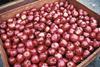 US apple sendings hit by morpholine ban