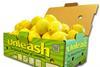 USA CITRUS LimoneiraUnleash Half Carton Pics_2