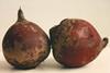 Beetroot the next superfood?