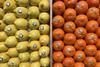 Bollo lemons Bruno oranges citrus