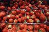 UK soft fruit sales are going from strength to strength