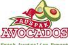 Australian Export Company logo AEC Auspak Avocados