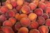 CSO peaches