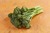 UK Coregeo TENDERSTEM_3438
