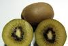 AC1536 yellow kiwifruit Italy