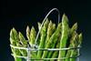 UK gras spearheads demand