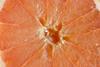 Florida grapefruit