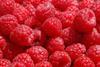Ungarn_himbeeren.JPG