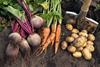 Soil Association Scotland says organic growers already take a whole-farm approach