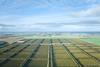 Colliers_Moora Citrus_Orchard Drone aerial