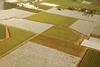 Landscape Farm
