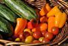 Almería: Preise für Zucchini und Auberginen weiterhin unrentabel