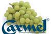 Carmel grapes