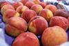 Generic peaches